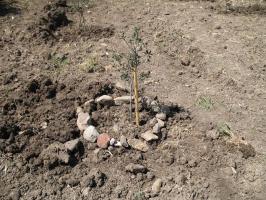 19-Aprile-09 (105).html